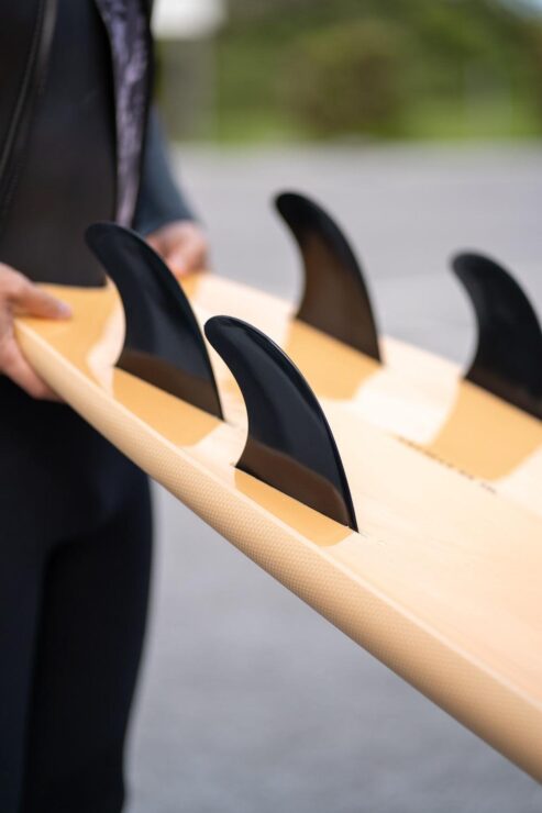 Beach Access Standard 6'8" Fish クアッド ソフトボード