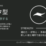 サーファータイプ診断