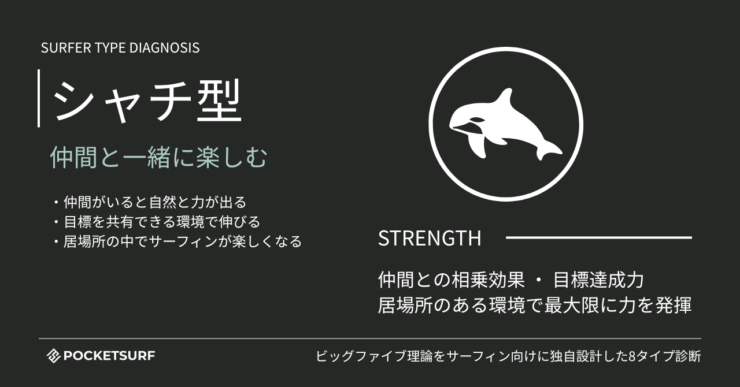 サーファータイプ診断