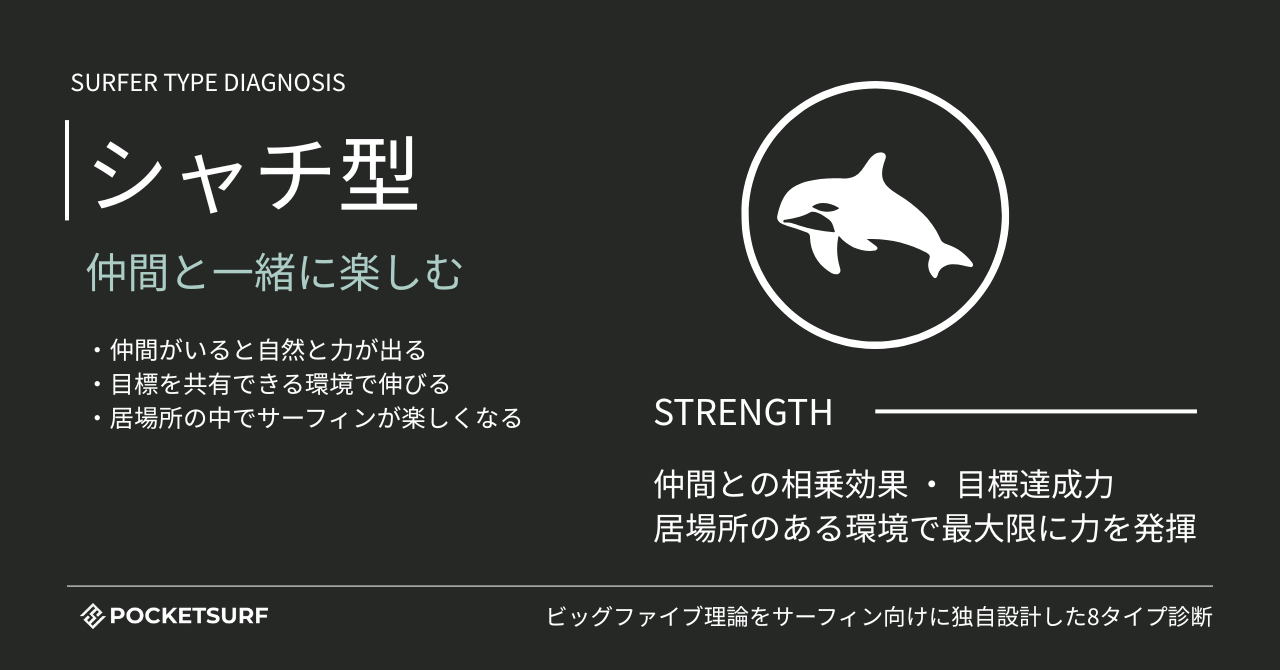サーファータイプ診断