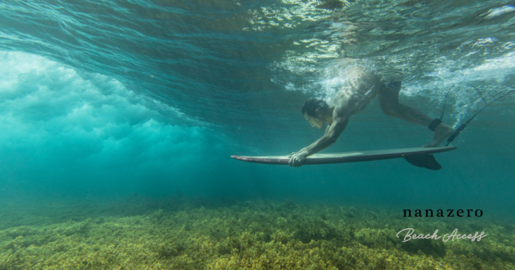 ba-dolphin-through-underwater
