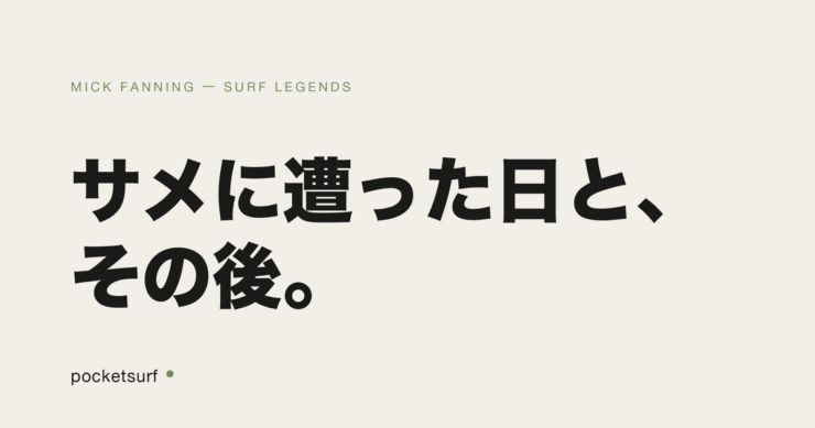 MICK FANNING アイキャッチ